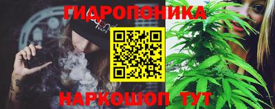 эйфоретик Малгобек