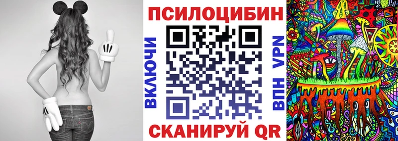 купить наркоту  Горно-Алтайск  Псилоцибиновые грибы мухоморы 